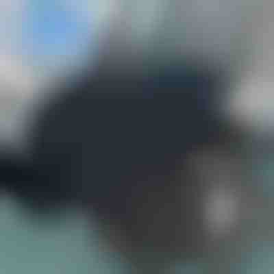 360-stopinjsko vrtljiva sedežna blazina | SPINPAD