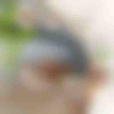 Interaktivna igrača ptica z mahanjem kril | CHIRRCAT